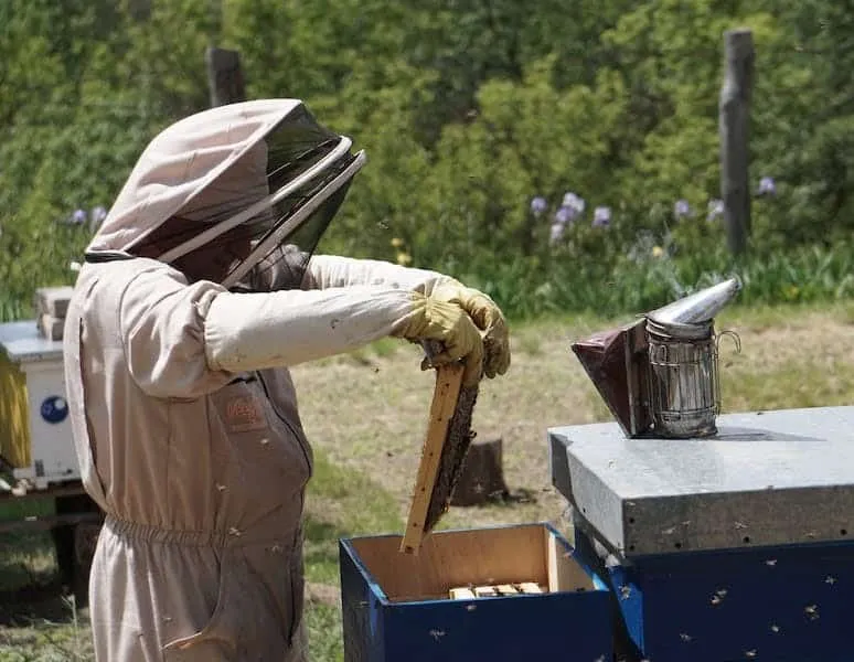 Address Other Potential Stressors