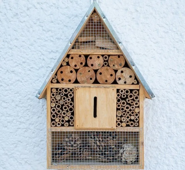 Bee nesting site