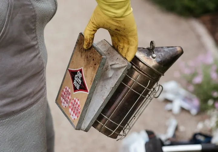 Bee smoker to calm the bees