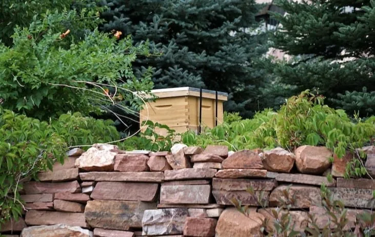 Beehive Placement