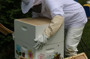 Beehive Scale – Why You Should Have One