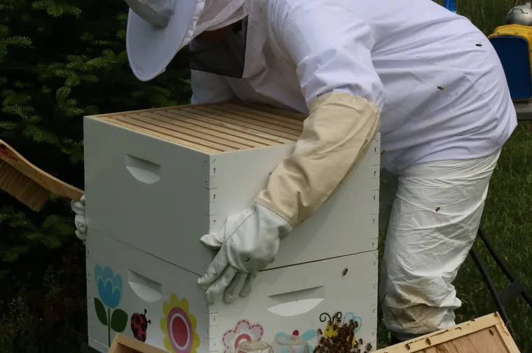 Beehive Scale – Why You Should Have One