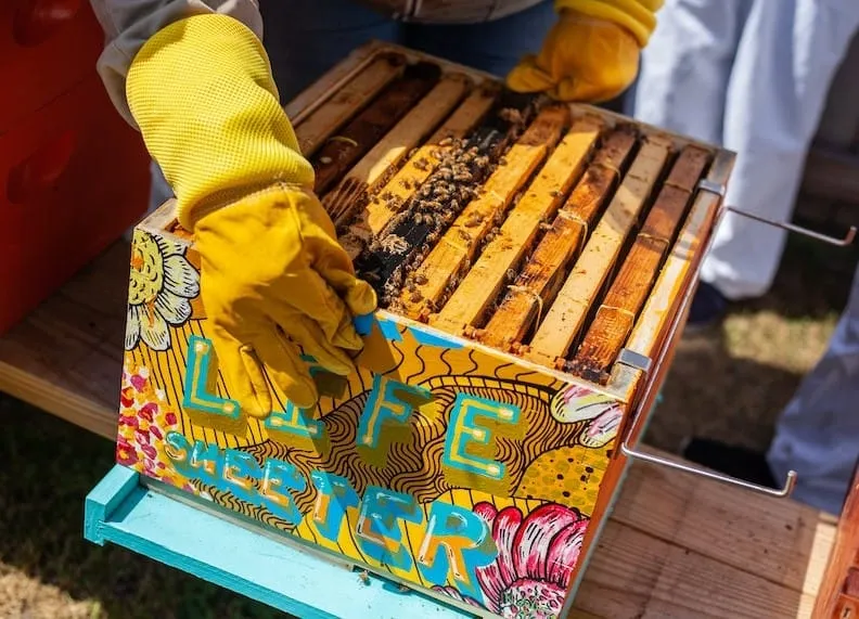 Beehive Scale - Why You Should Have One