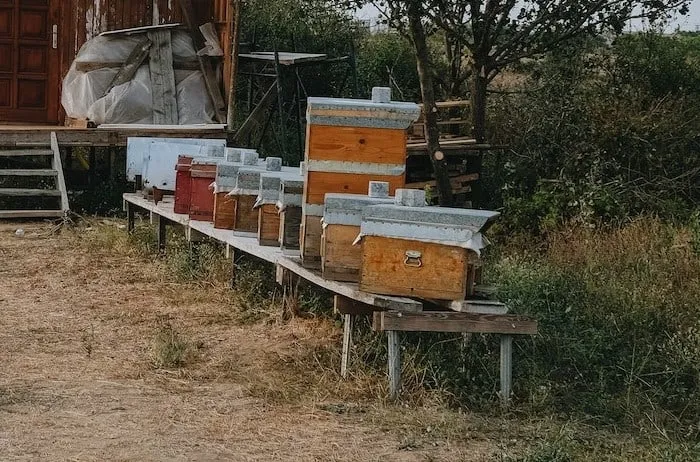Beehive Stand Plans