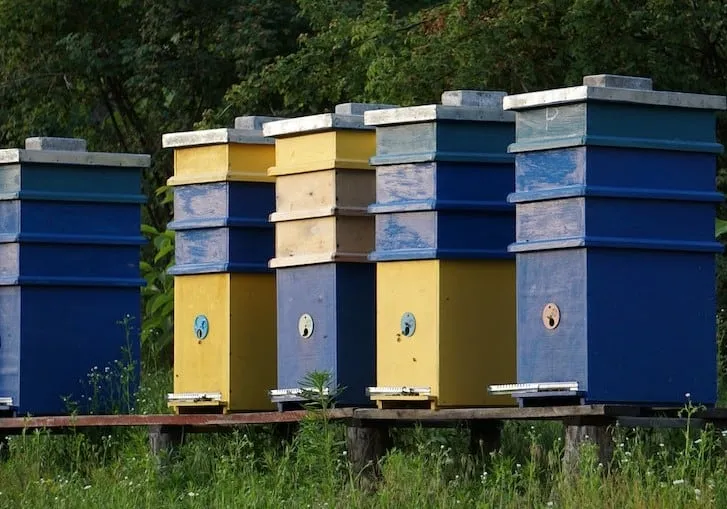 Beehives