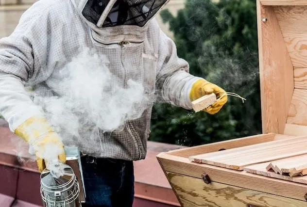 Beekeeper working on a Top Bar Hive