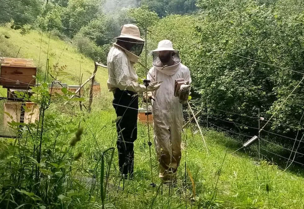Beekeepers