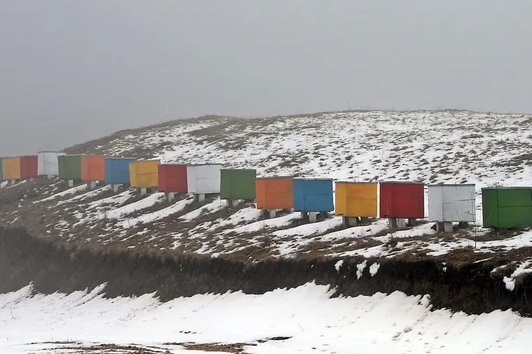 Beekeeping Insulation For The Winter