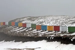 Beekeeping Insulation For The Winter