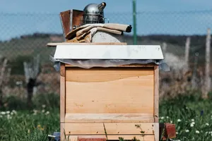 Beekeeping Starter Kits: What You Need To Start The Beekeeping Journey