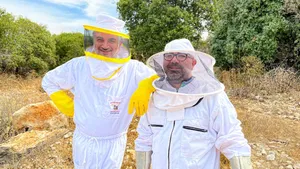 Best Beekeeping Suits That’ll Keep You Safe