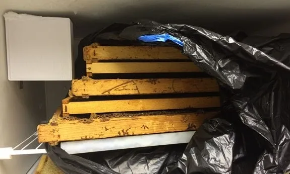 Deep Frames Frozen in Refrigerator