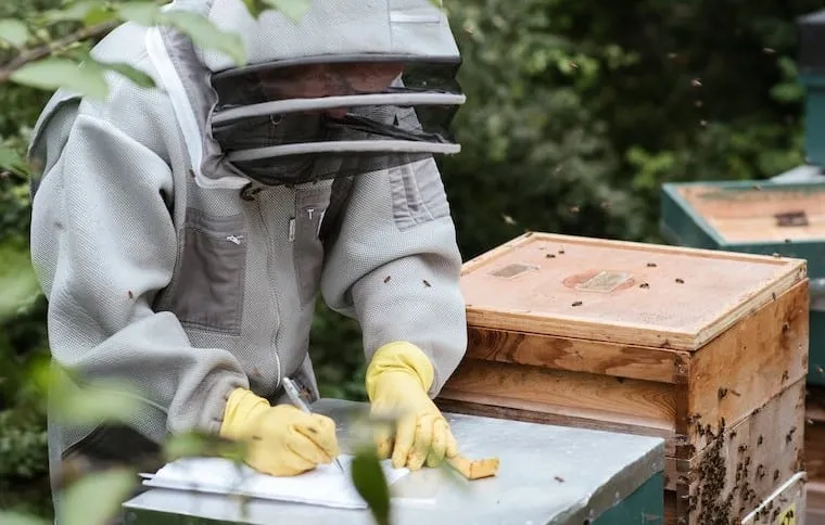 Document a Hive Inspection