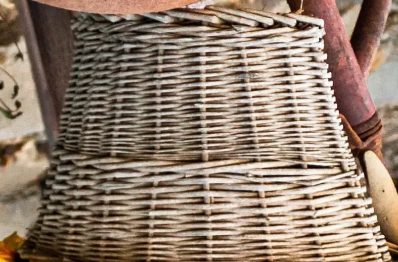 Dome shaped bee hive