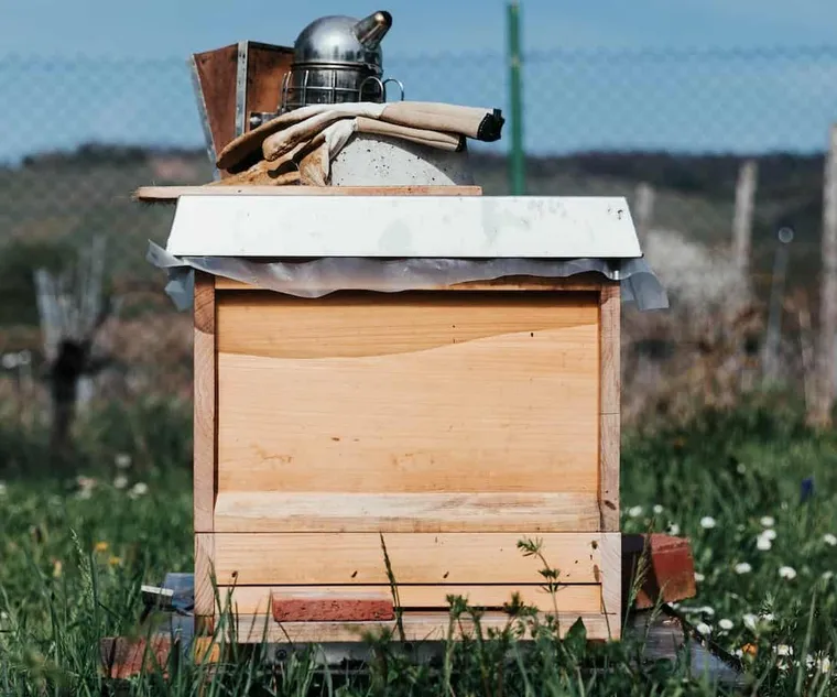 Most Buzzworthy Gifts For Beekeepers That Are Sure to Delight
