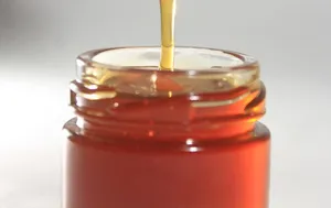 Flow Hive Review: Worth the Buzz or Overpriced? (Pros, Cons, & More!)