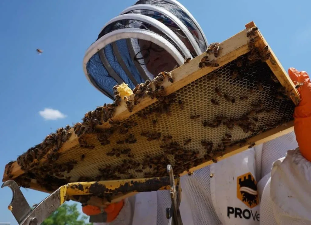 Foundation-less Frame