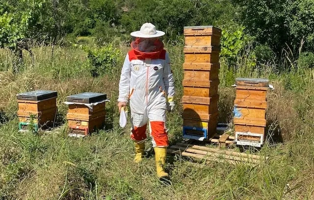 Gradually Moving a Beehive