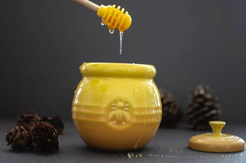 Honey pot with dipper