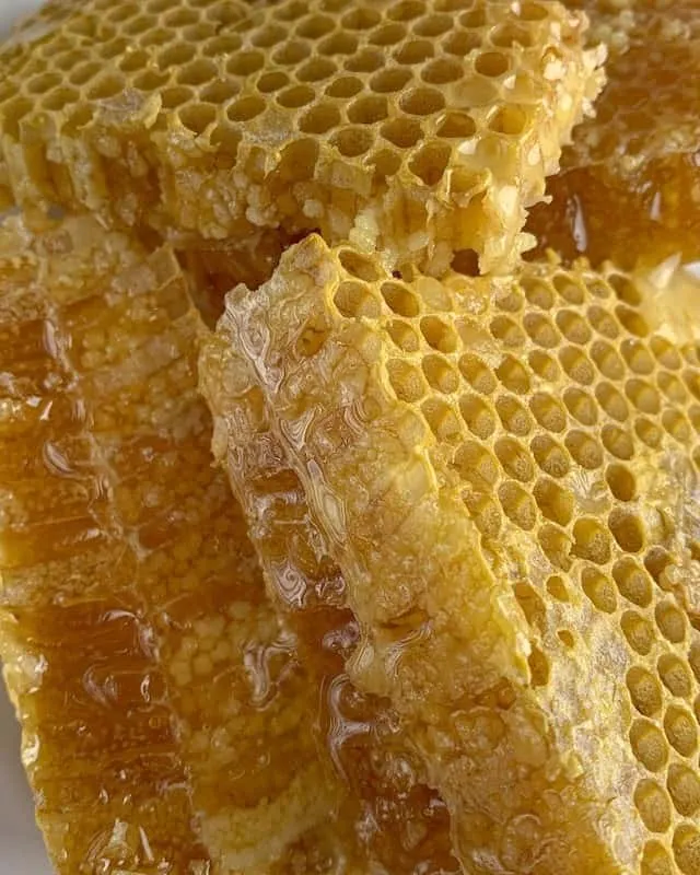 Honeycomb