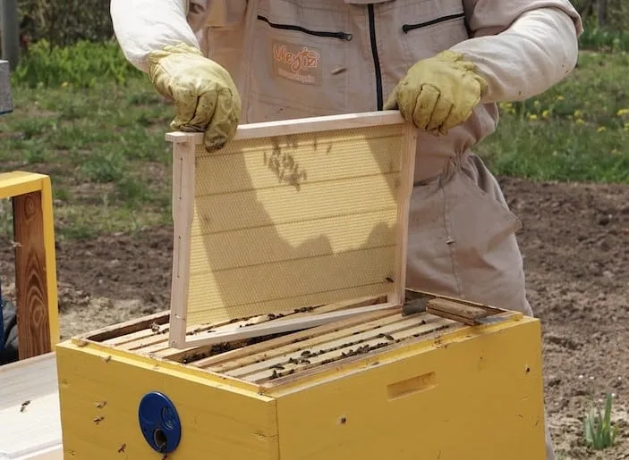 How do you clean frames