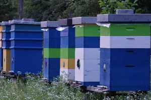 How to Paint a Beehive in a Single Afternoon Like a Pro (Step By Step)