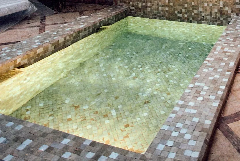 Keep Wasp from a Pool