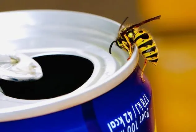 Keep your surroundings clean