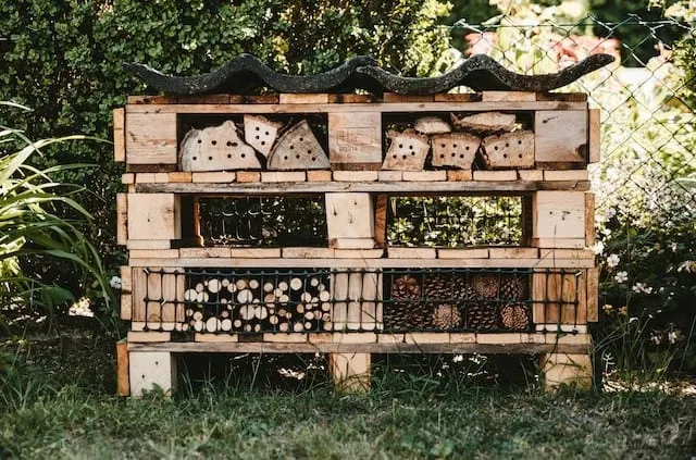 Mason Bee House on a Budget