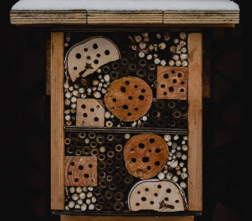 Mason bee house