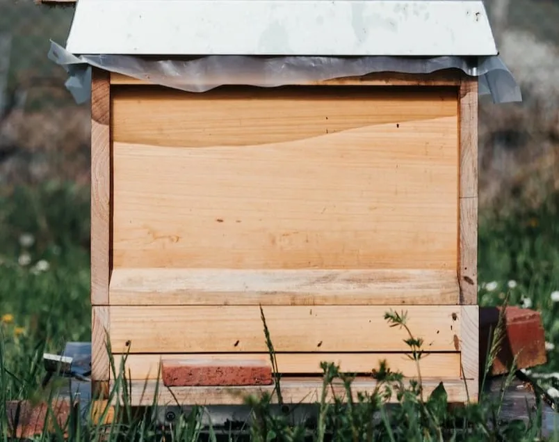 Plywood Hive