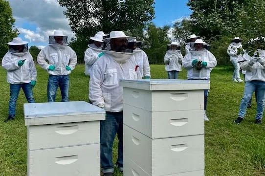 Production of Palmetto Honey