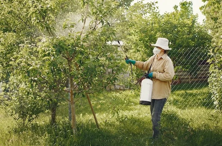 Stop Using Chemical Pesticides and Herbicides