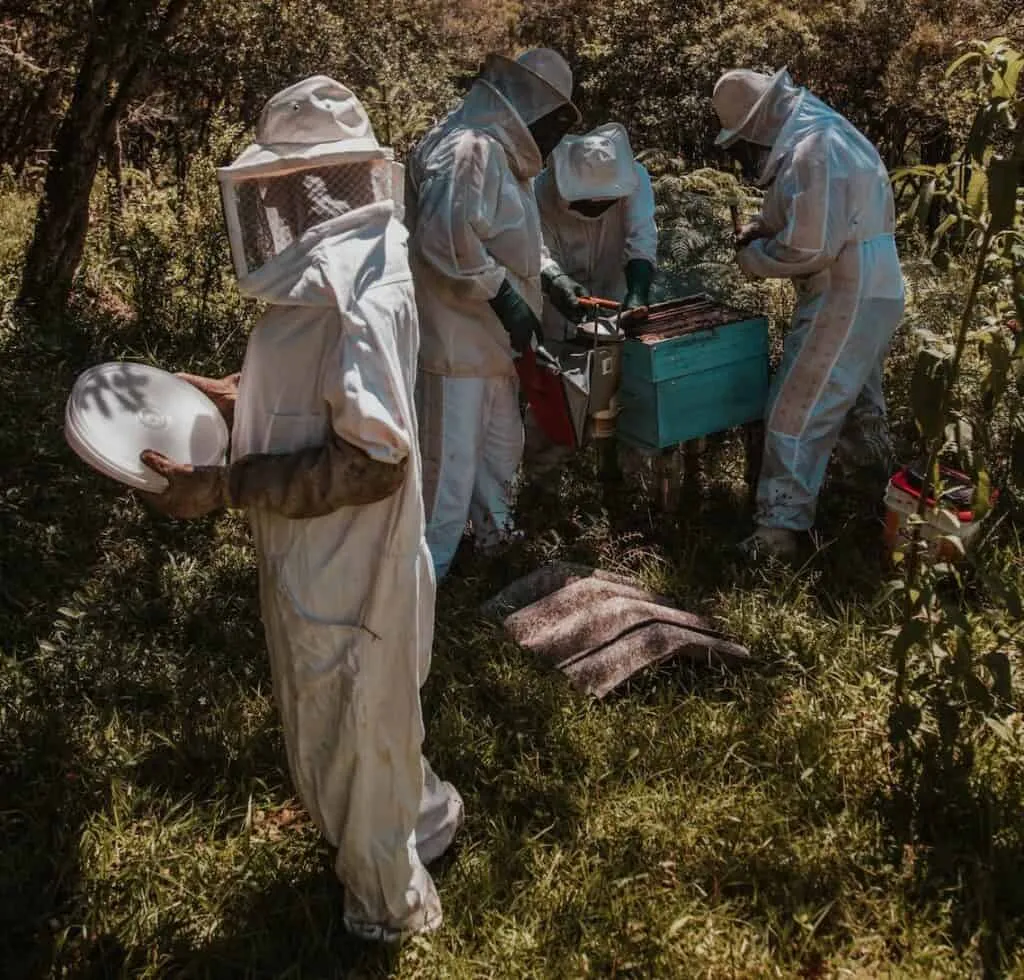 Ventilated bee suits