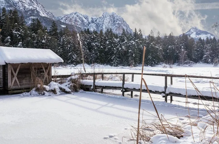 What Do Beekeepers Do In The Winter?