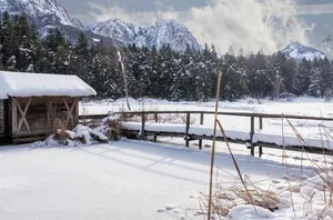 What Do Beekeepers Do In The Winter?