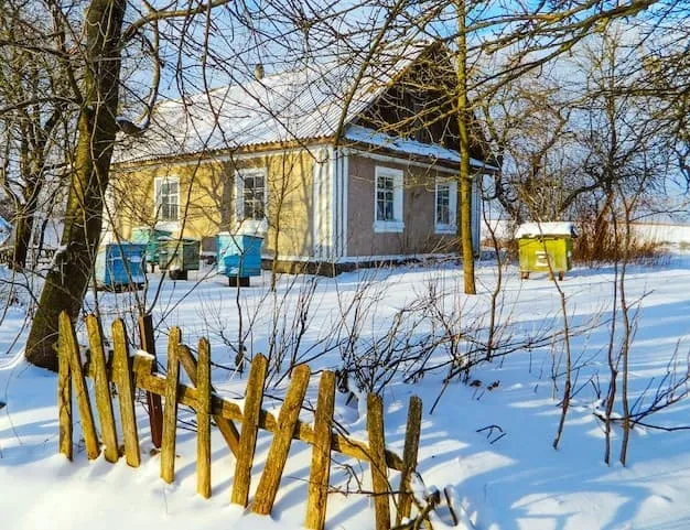 Winter beehive
