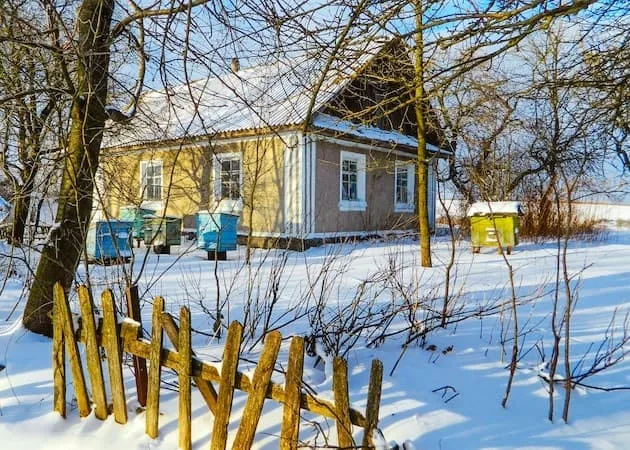 Winterizing Beehives