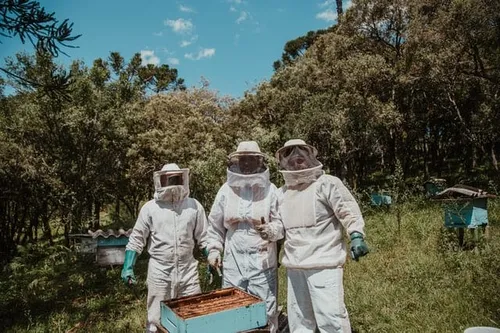 About Beekeeping 101