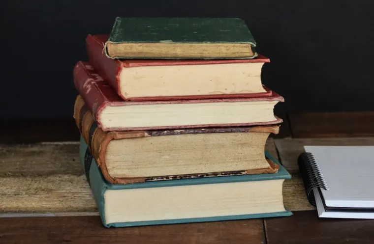 12 Best Beekeeping Books For Beginners