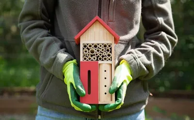 8 Best Mason Bee House Options