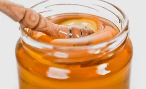 Best Raw Honey Brands: Check Out Our Must-Try Picks