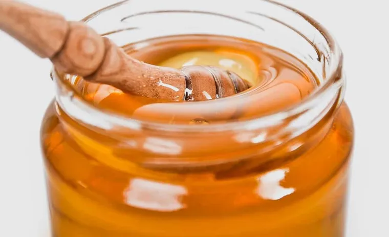 Best Raw Honey Brands: Check Out Our Must-Try Picks