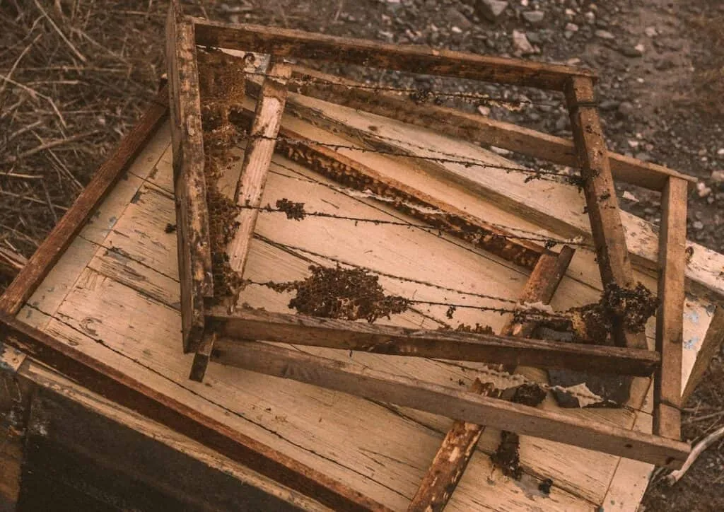 destroy beekeeping equipment