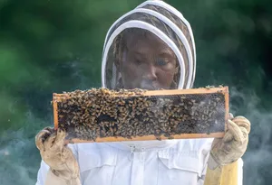 3 Things You MUST Consider Before Adding Honey Supers to a New Hive