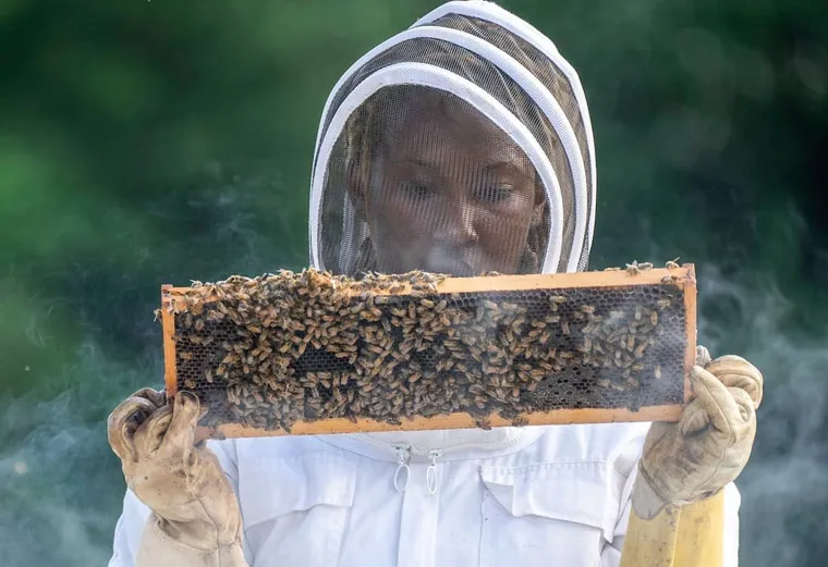3 Things You MUST Consider Before Adding Honey Supers to a New Hive