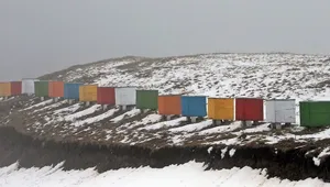 Winterizing Bee Hives: Save Your Bees in The Winter