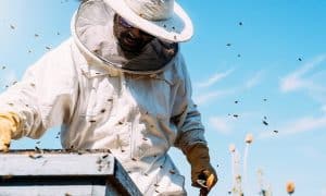 10 Best Beekeeping Suits for Beekeepers Reviewed