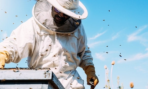 Mr.Bee Premium Beekeeping Suit Jacket with Removable Fencing Veil Hood M Beekeeper Goatskin Gloves for Professional Beekeepers 