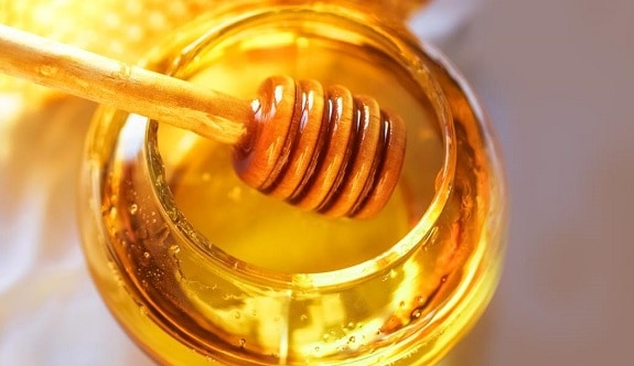 How to Harvest Honey from Beehive Step by Step